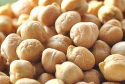 天麻豆做法,传统美食的养生秘籍